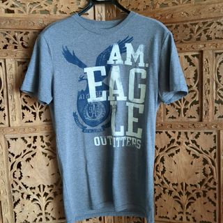 アメリカンイーグル(American Eagle)の半袖Tシャツ(Tシャツ/カットソー(半袖/袖なし))