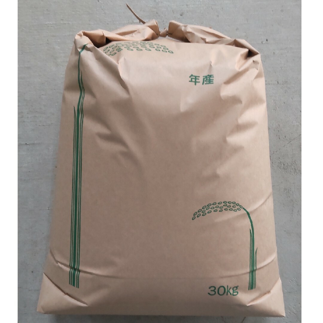 新米コシヒカリ福井県産の令和５年産　有機減農薬栽培　玄米25kg　管理番号２　米/穀物