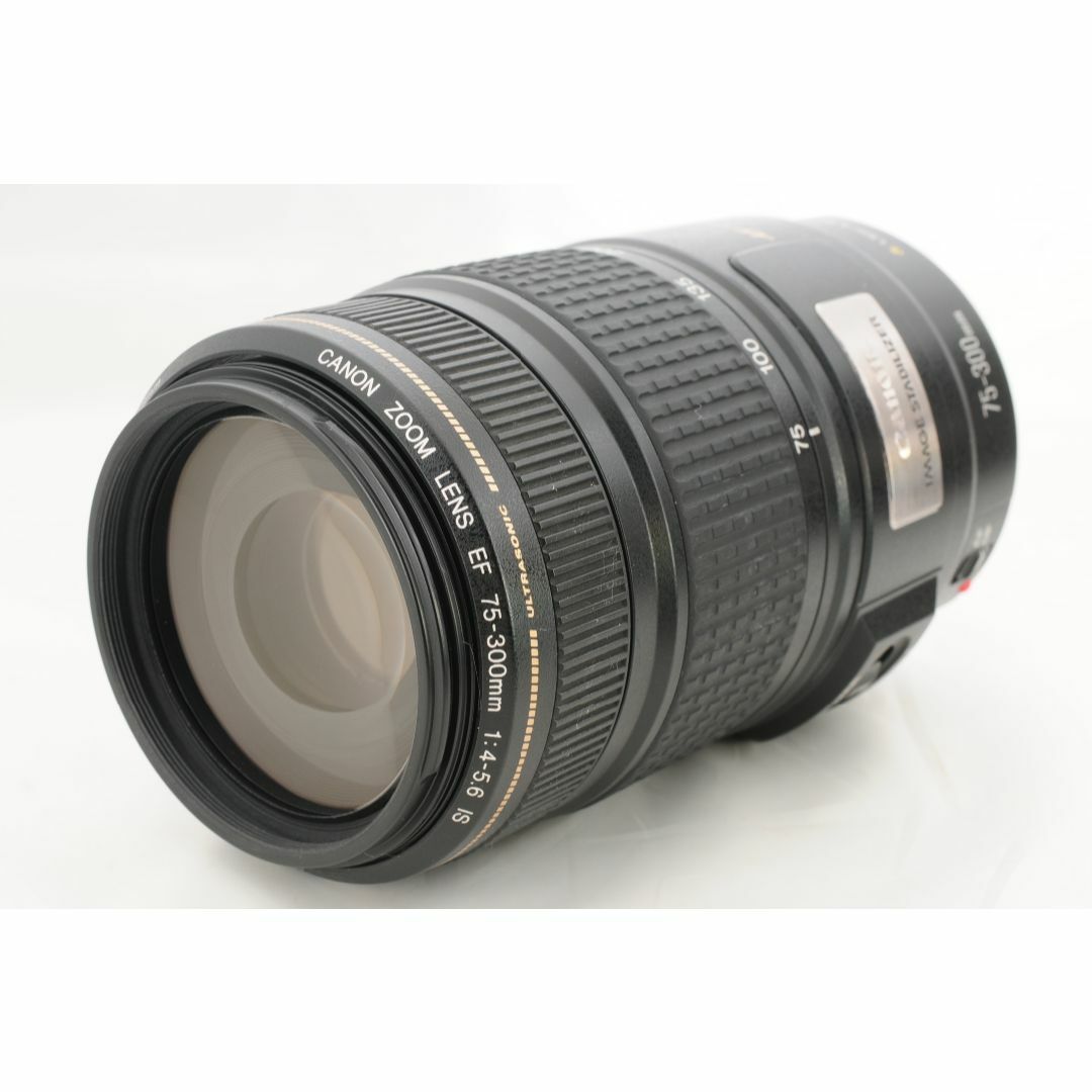 【大迫力望遠】Canon EF 75-300mm F4-5.6 IS 手ブレ機能