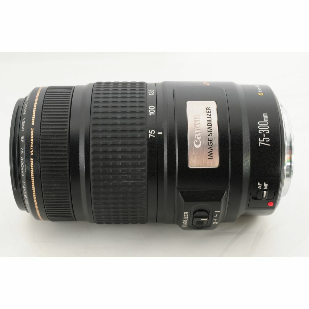 【大迫力望遠】Canon EF 75-300mm F4-5.6 IS 手ブレ機能