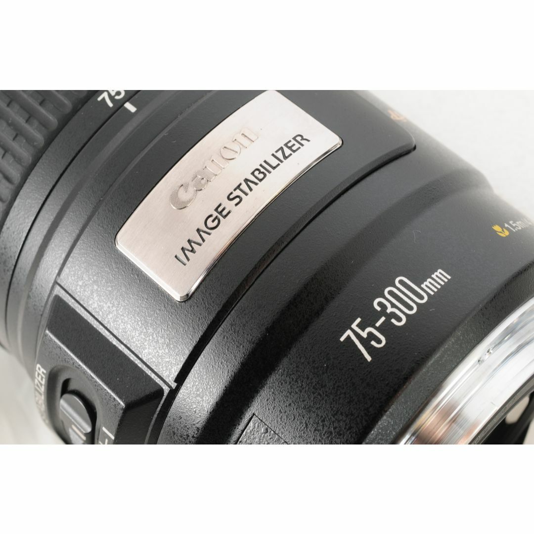 【大迫力望遠】Canon EF 75-300mm F4-5.6 IS 手ブレ機能
