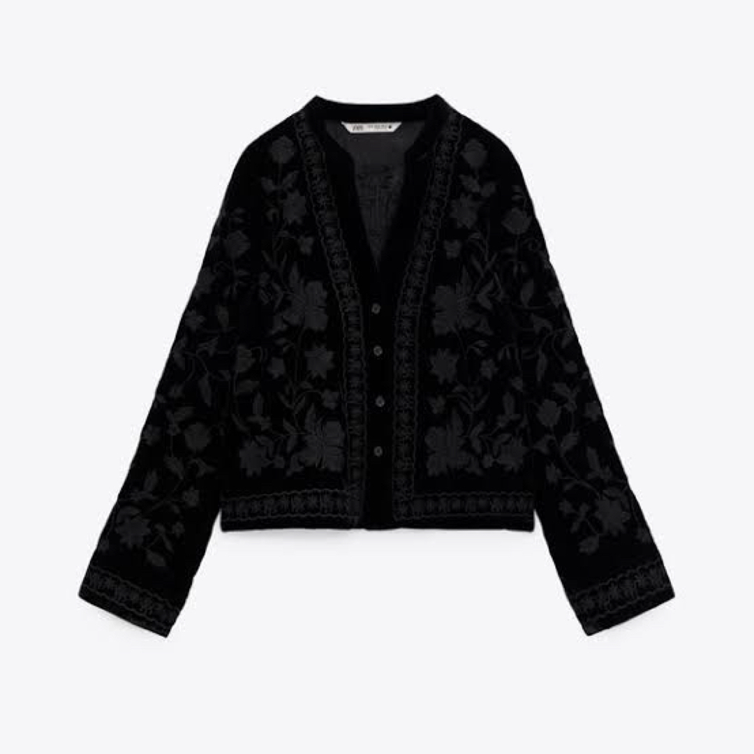 ZARA エンブロイダリーベルベット　ブラック