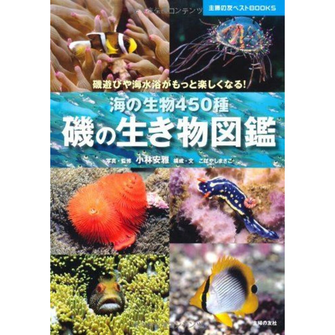 磯の生き物図鑑―海の生物450種 (主婦の友ベストＢＯＯＫＳ)