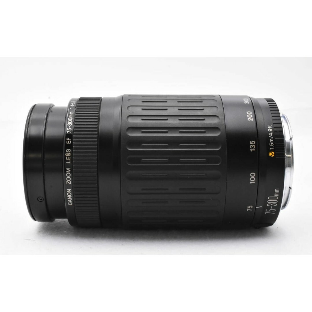 3月29日限定販売✨Canon EF 75-300mm - レンズ(ズーム) 3月29日限定販売✨Canon EF 75-300mm - レンズ(ズーム)