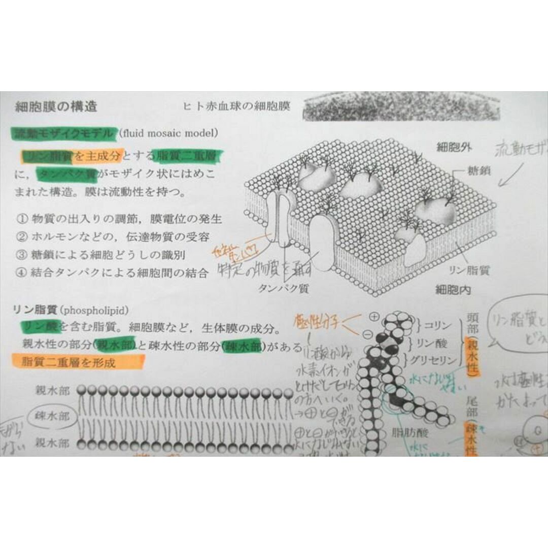 VA25-026 筑波大学附属高校 生物 授業プリント・ノートセット 2023年3月卒業 20S0D