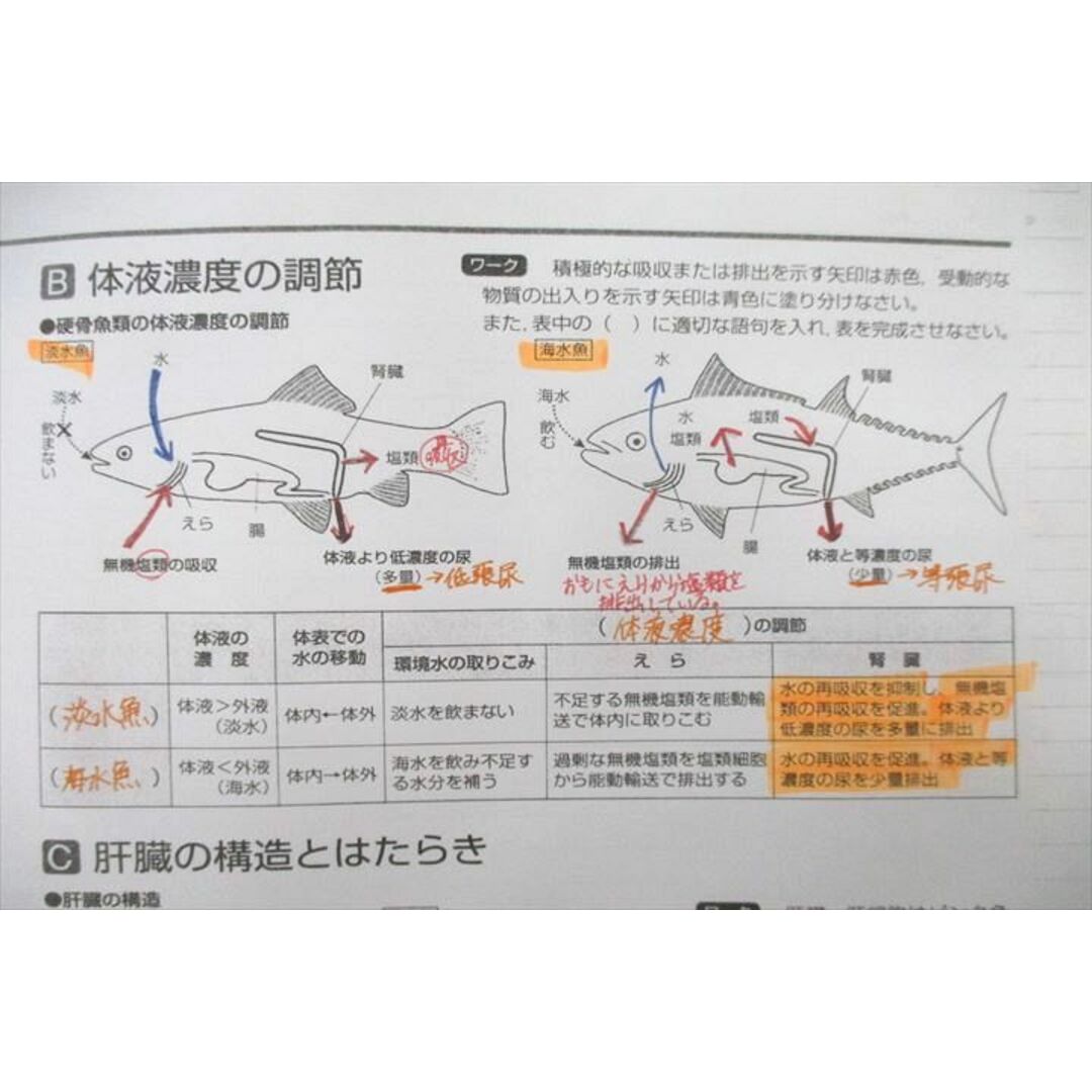 VA25-026 筑波大学附属高校 生物 授業プリント・ノートセット 2023年3月卒業 20S0D