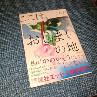 ここは、おしまいの地(その他)