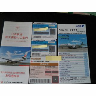 エーエヌエー(ゼンニッポンクウユ)(ANA(全日本空輸))の全日空優待券2枚、日本航空優待券１枚　送料込み(航空券)