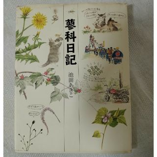 蓼科日記　ワッチフィールド(文学/小説)