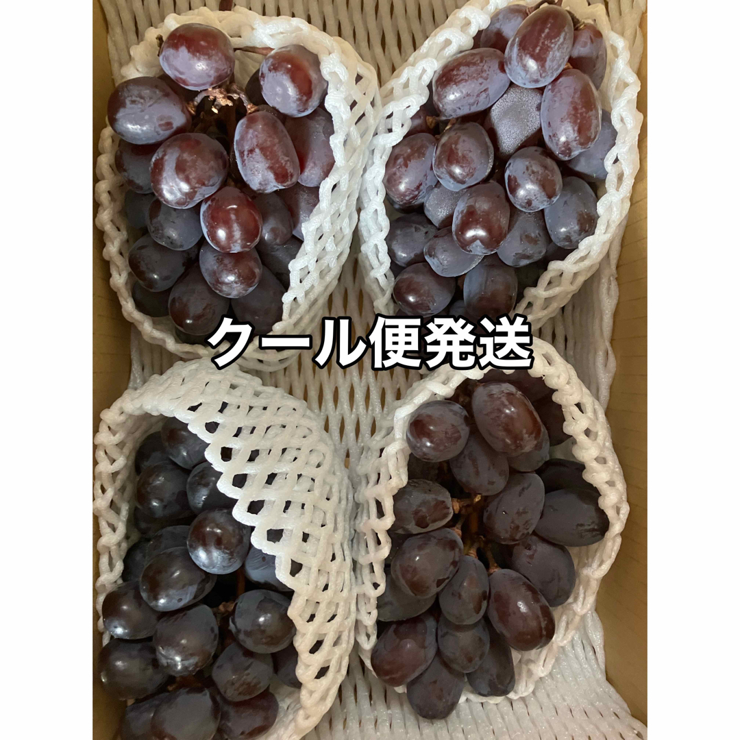 貴重品種❤️富士の輝き　山梨県産2キロ箱4房 食品/飲料/酒の食品(フルーツ)の商品写真