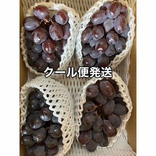 貴重品種❤️富士の輝き　山梨県産2キロ箱4房(フルーツ)