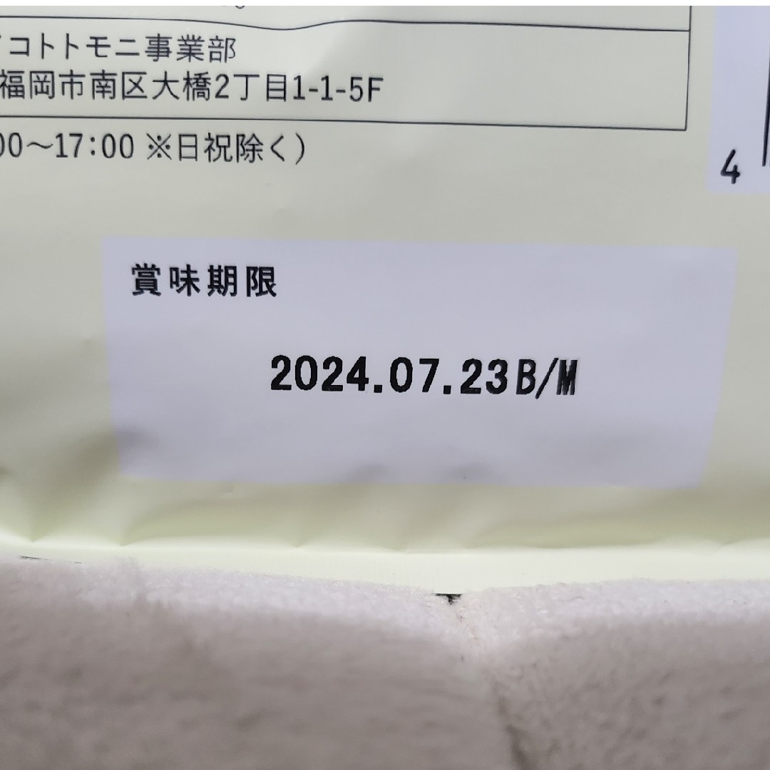 ドッグフード このこのごはん 2袋(1㎏×2)セット