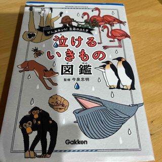 泣ける生き物図鑑(絵本/児童書)