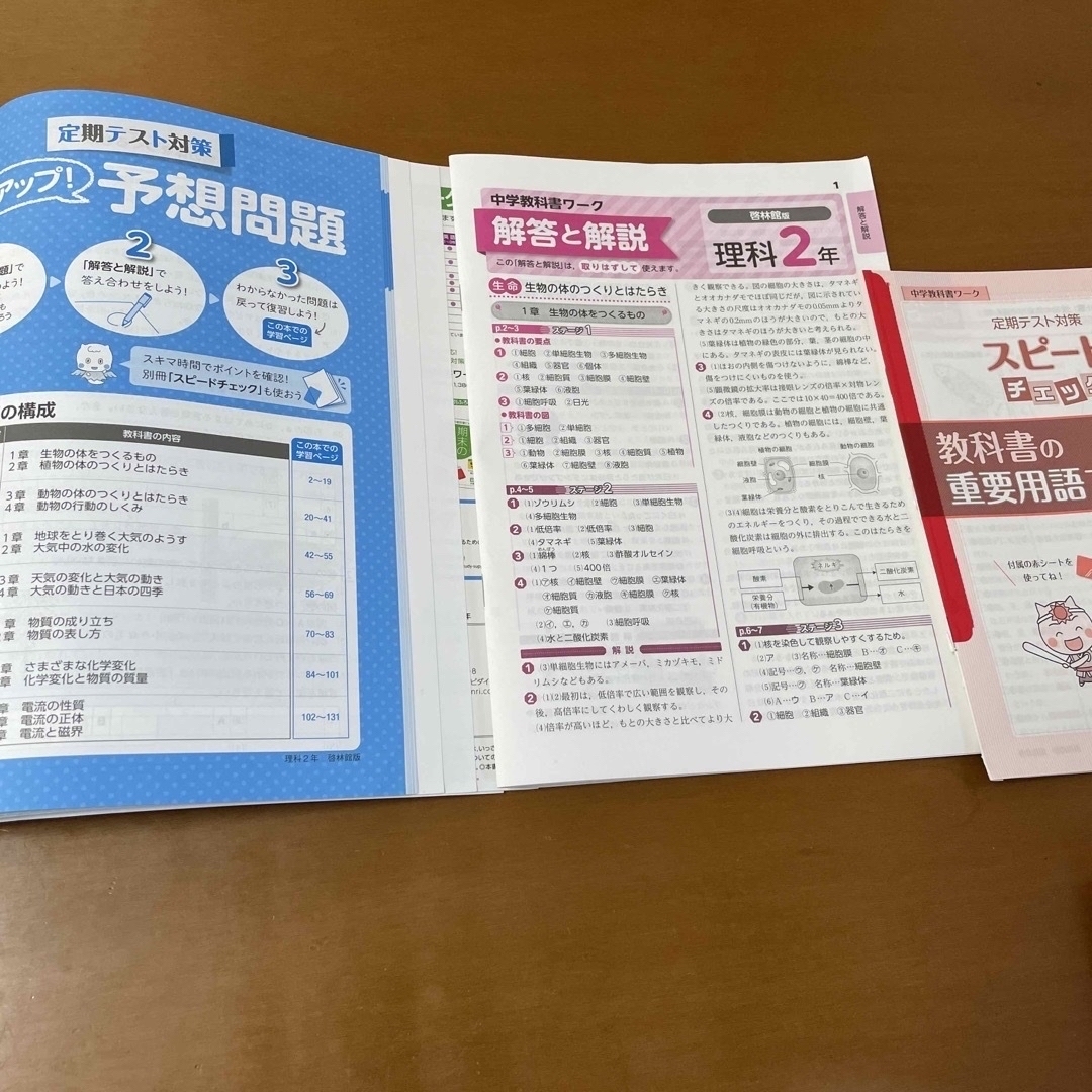 中学教科書ワーク啓林館2年生 エンタメ/ホビーの本(語学/参考書)の商品写真