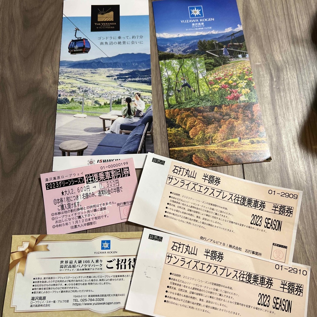 湯沢高原ロープーウェイ チケットの施設利用券(スキー場)の商品写真