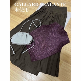 ガリャルダガランテ(GALLARDA GALANTE)の【未使用】GALLARDAGALANTE  ブラウン　スカート　サイズ0(ロングスカート)