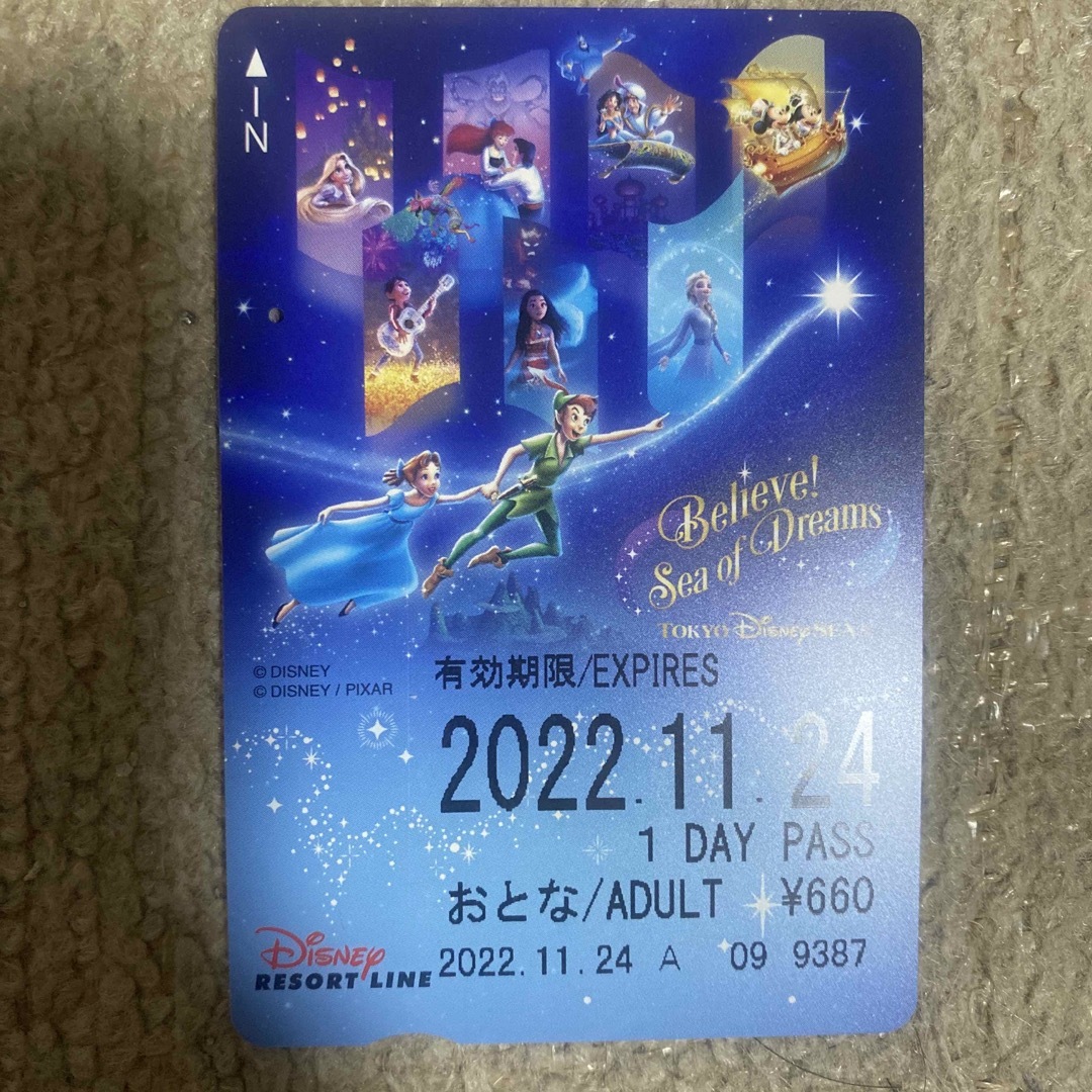 Disney(ディズニー)のディズニー　リゾートライン　使用済みカード　1DAY PASS 大人 チケットの施設利用券(遊園地/テーマパーク)の商品写真