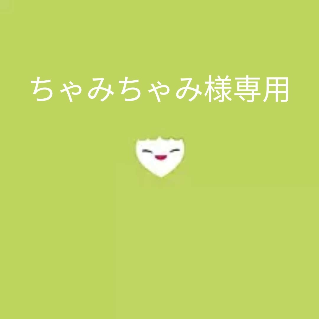 ちゃみちゃみ様専用 | フリマアプリ ラクマ