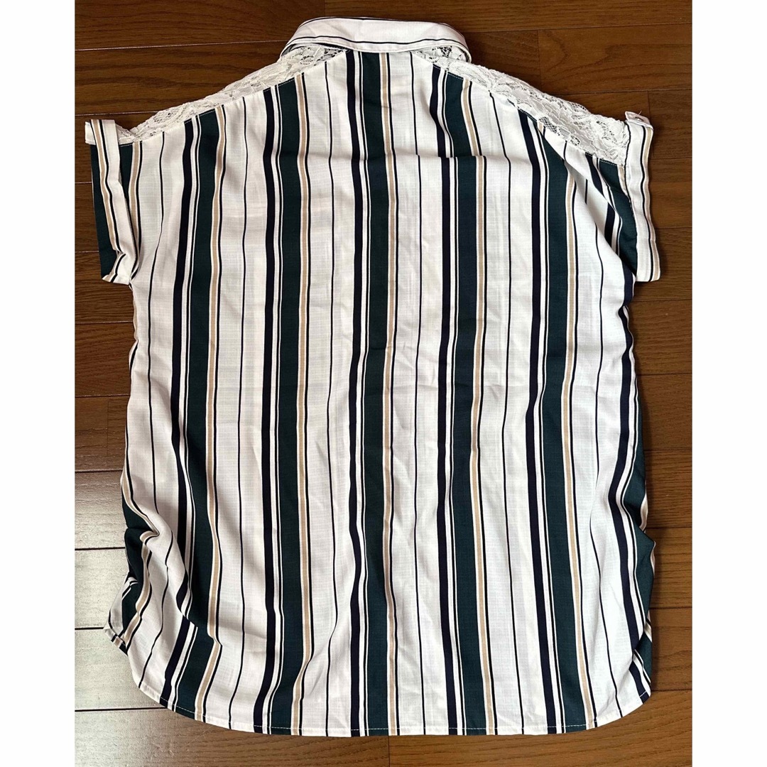 ストライプ柄 半袖シャツ ブラウス トップス  グリーン レディースのトップス(シャツ/ブラウス(半袖/袖なし))の商品写真