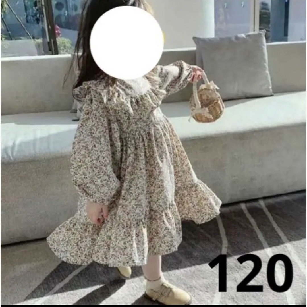 ZARA KIDS(ザラキッズ)の海外子供服　フリル　ワンピース　花柄　ナチュラル　120 キッズ/ベビー/マタニティのキッズ服女の子用(90cm~)(ワンピース)の商品写真