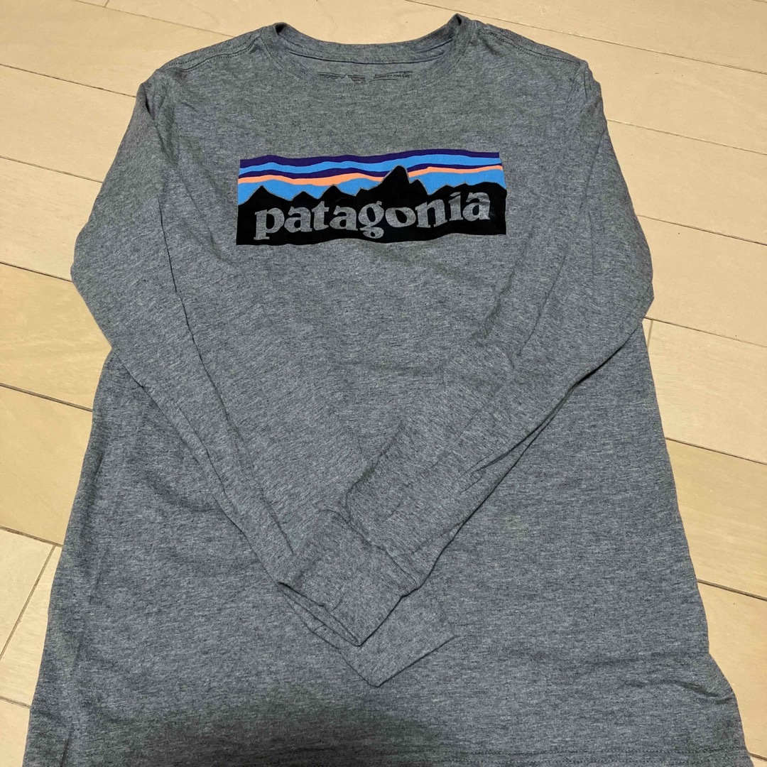 patagonia(パタゴニア)のpatagonia 長袖Tシャツ　ロンT レディースのトップス(Tシャツ(長袖/七分))の商品写真