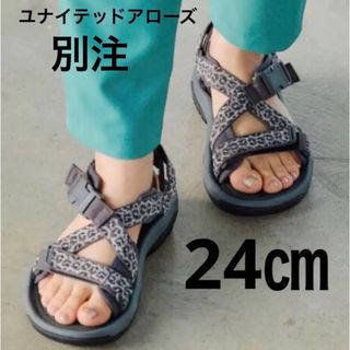 テバ(Teva)の新品 Teva 24㎝ ユナイテッドアローズ 別注モデル(サンダル)