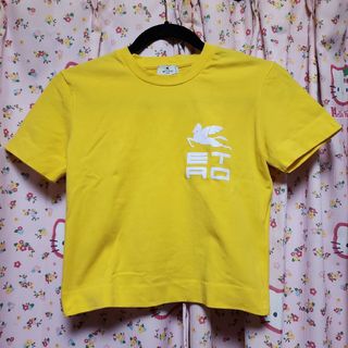 ETRO トップス(Tシャツ(半袖/袖なし))