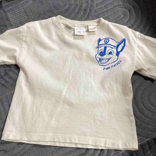 ザラキッズ(ZARA KIDS)のZARA パウパト　Tシャツ(Ｔシャツ)