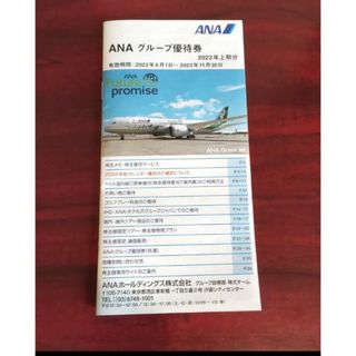 ANA グループ優待券　2023年上半期(その他)