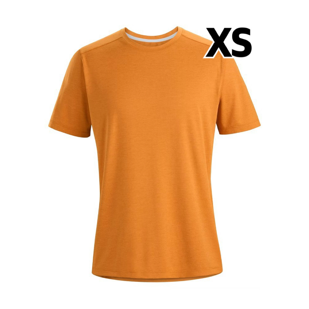 ARC'TERYX(アークテリクス)のARC'TERYX アークテリクス　Cormac Arc'Word SS XS メンズのトップス(Tシャツ/カットソー(半袖/袖なし))の商品写真