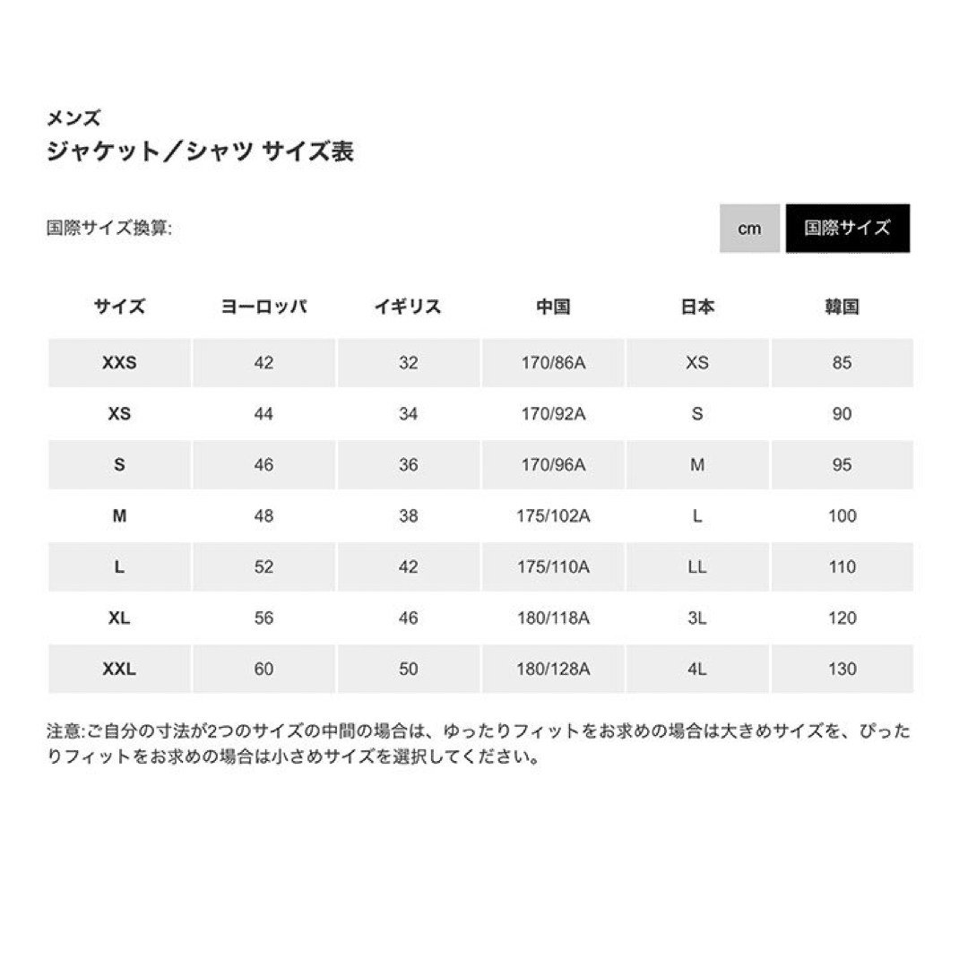 ARC'TERYX - ARC'TERYX アークテリクス Cormac Arc'Word SS 藍Lの通販