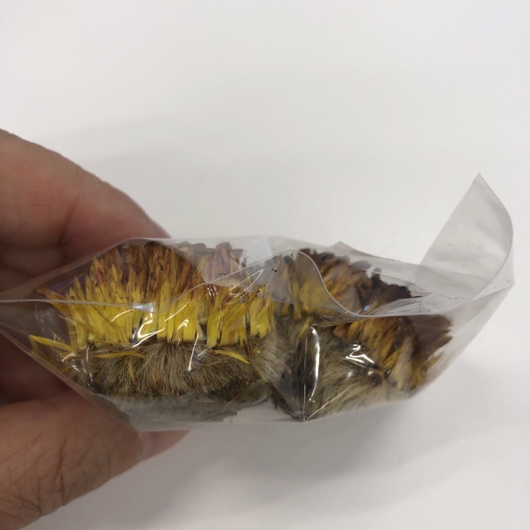 黄色ヘリクリサムタネ 種 ムギワラギク 麦藁菊の種 今から種蒔 9 黄色ヘリクリサムタネ 種 ムギワラギク 麦藁菊の種 今から種蒔 9