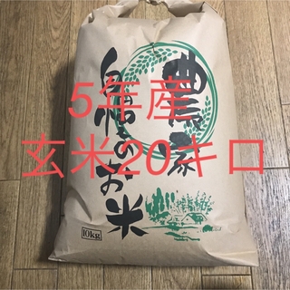 5年産コシヒカリ玄米20キロ減農薬(米/穀物)