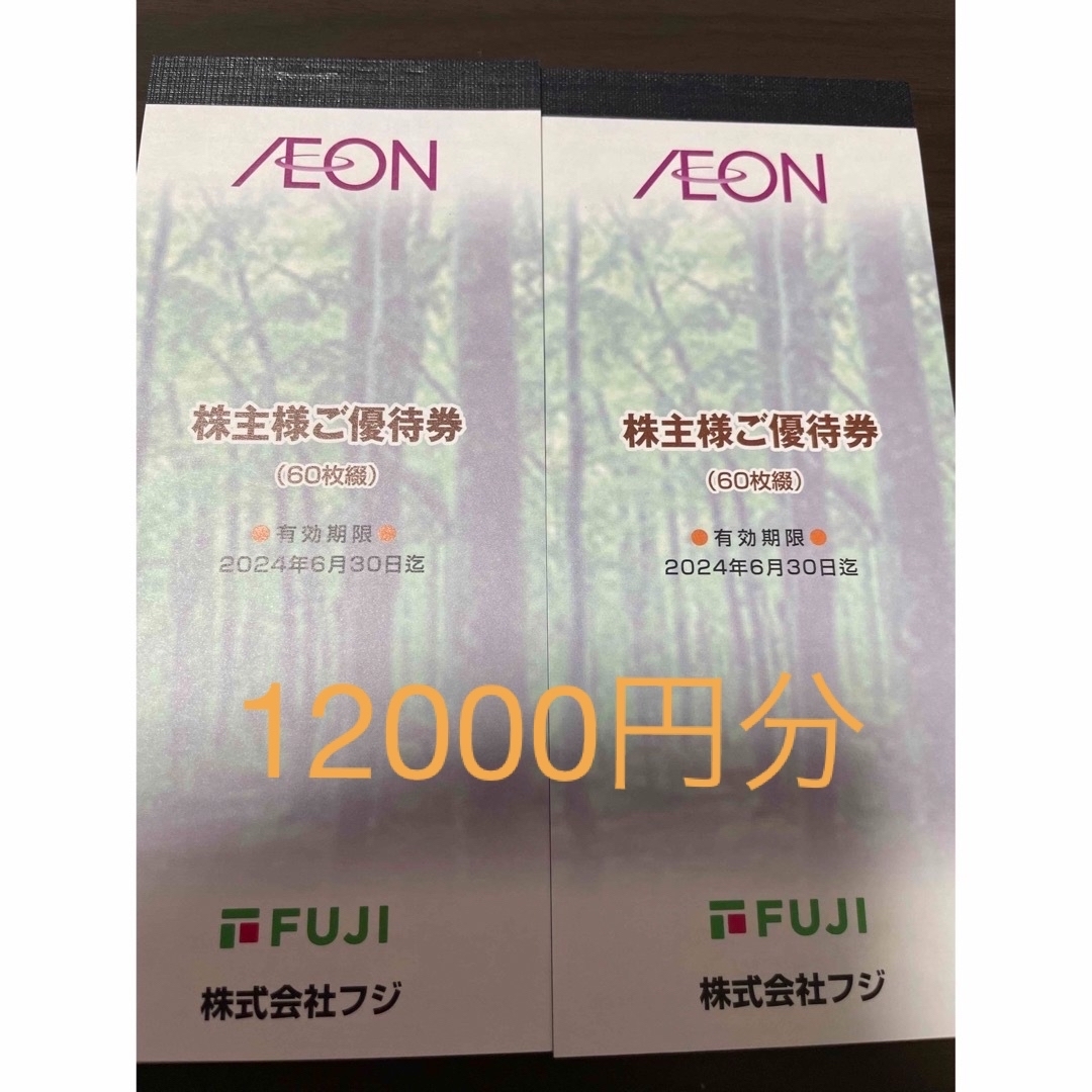 フジ イオン 株主優待 12000円分 チケット 券