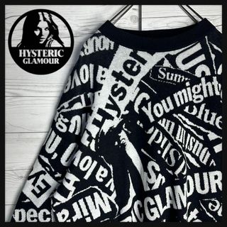 ヒステリックグラマー(HYSTERIC GLAMOUR)の【即完売モデル】ヒステリックグラマー ヒスガール 総柄 希少 入手困難 ニット(その他)