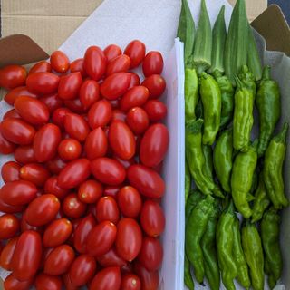 ミニトマト野菜詰め合わせ(野菜)