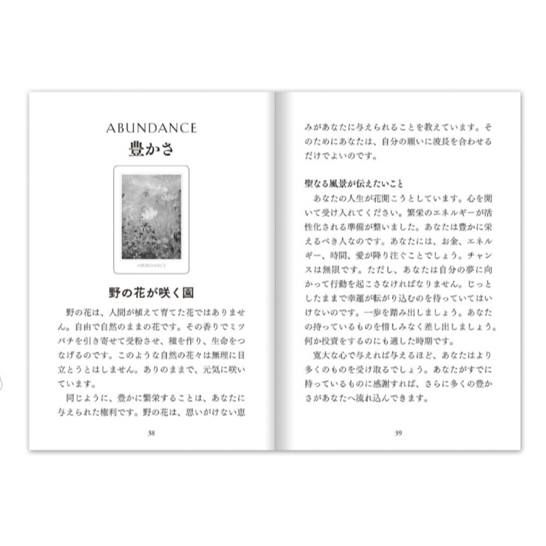 本日10/15タイムセール⭐︎オラクルカード 2023年改訂版日本語解説書付 エンタメ/ホビーのエンタメ その他(その他)の商品写真