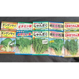 野菜の種　葉物(野菜)