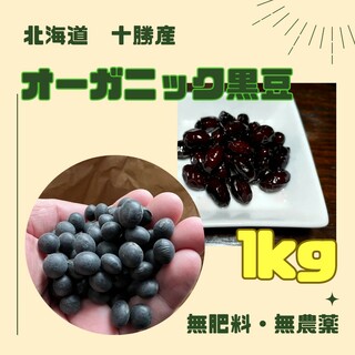 黒豆　1kg(野菜)