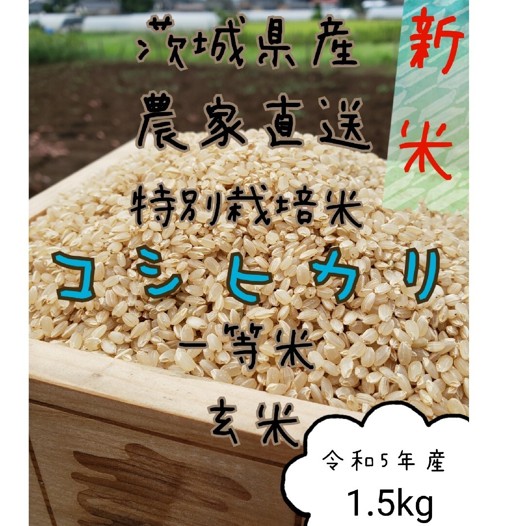 数量限定】新米 玄米 令和5年 栃木県産 コシヒカリ 20キロ - 米/穀物