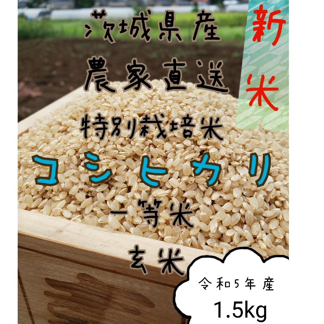 茨城県産　通販　新米　1.5kg　令和5年　白米　玄米コシヒカリ　精米　一升　お米