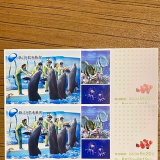 江ノ島水族館　チケット　2枚(水族館)