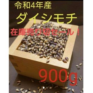 令和4年産　ダイシモチ　玄麦(米/穀物)