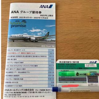 エーエヌエー(ゼンニッポンクウユ)(ANA(全日本空輸))のANA 株主優待　グループ優待券1冊チケット1枚(その他)