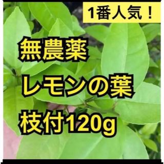 無農薬　レモンの葉　枝付120g(その他)