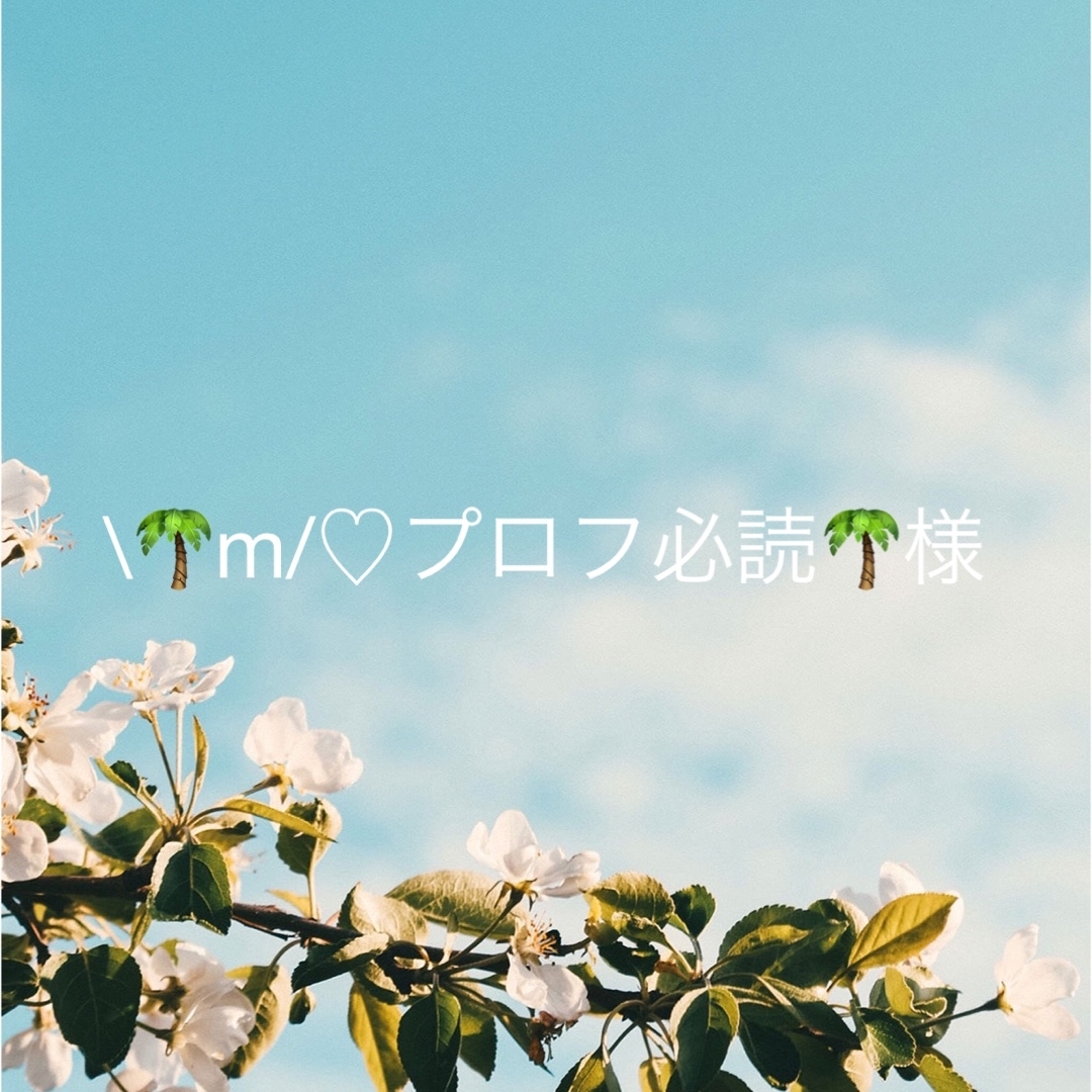 🌴m/♡プロフ必読🌴様専用ページの通販 by pika's shop｜ラクマ