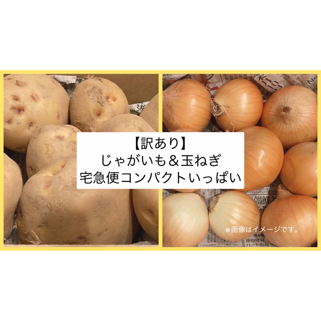 【訳あり】玉ねぎ＆じゃがいもセット　宅急便コンパクト　箱いっぱい 食品/飲料/酒の食品(野菜)の商品写真