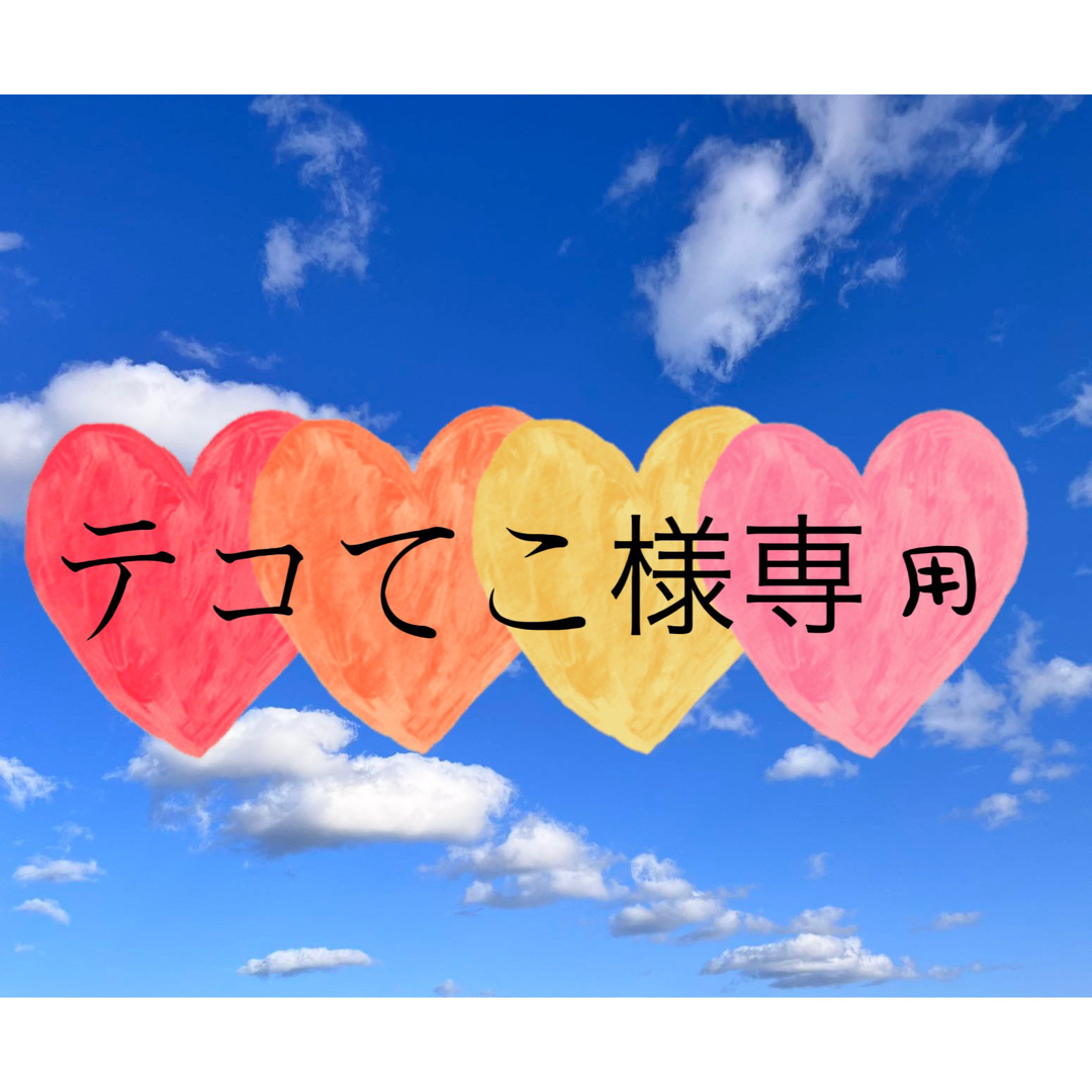 テコてこ様専用ページの通販 by 令和淳品|ラクマ