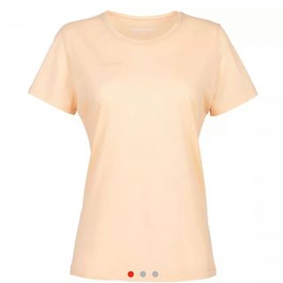 マムート(Mammut)のマムート　Tシャツ　パステル　速乾　登山　ハイキング　山　紅葉　レディス　S(Tシャツ(半袖/袖なし))