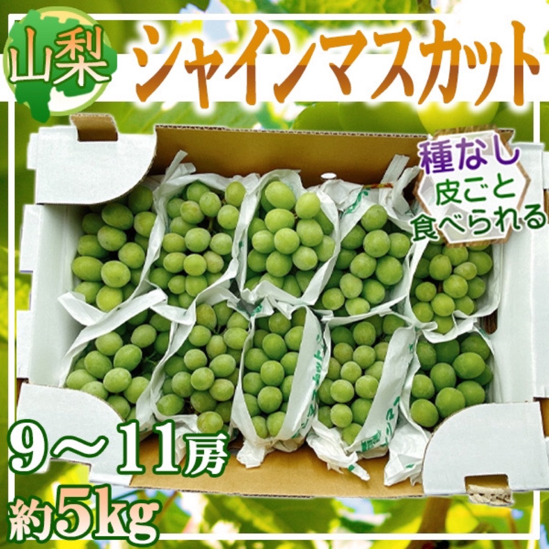 山梨県産　シャインマスカット　9〜11房　約5キロ
